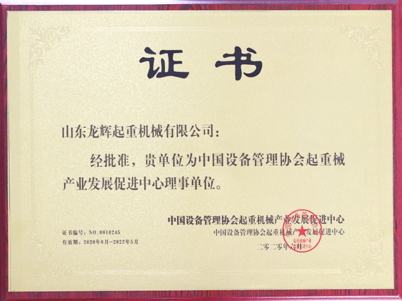 中國設備管理協(xié)會起重械產(chǎn)業(yè)發(fā)