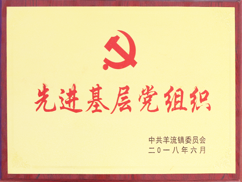 先進基層黨組織